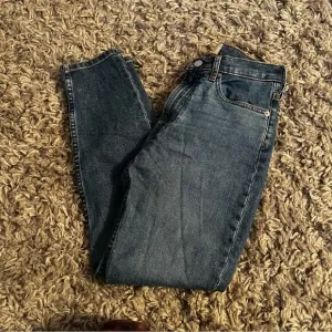 Everlane ankle skinny jeans size 27